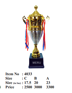 Gold and silver Metal Sports Trophies