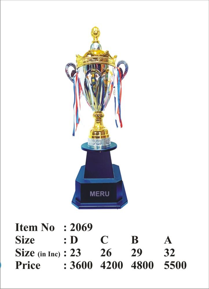 Silver and gold metal trophy; ideal for sports awards and recognition events.