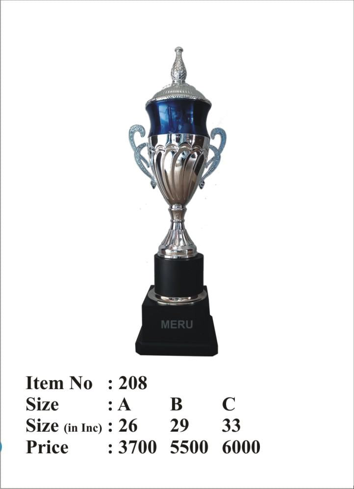 Silver and blue metal trophy award; perfect for sports awards and recognition.