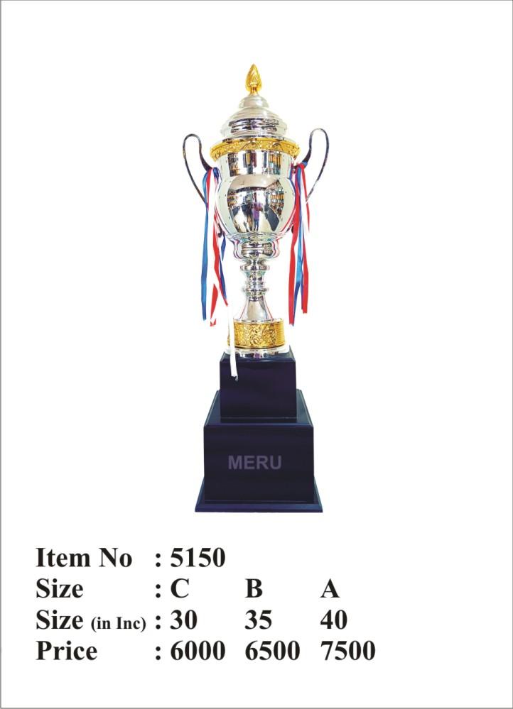 Silver & Gold Metal Trophy Award - Sports Recognition
