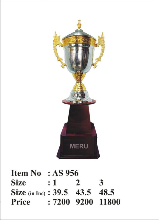 Gold and Silver Cup Trophy