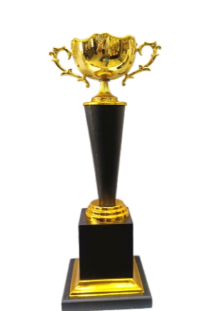 Gold cup trophy with black base