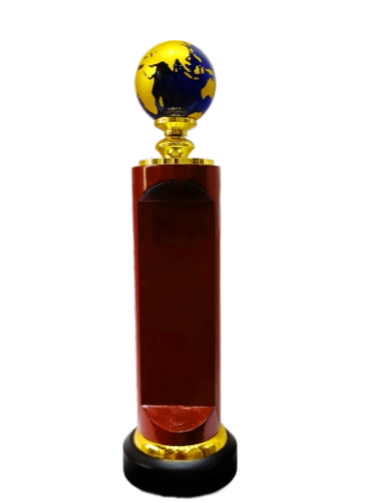 Gold and blue globe award; a custom trophy for corporate events.