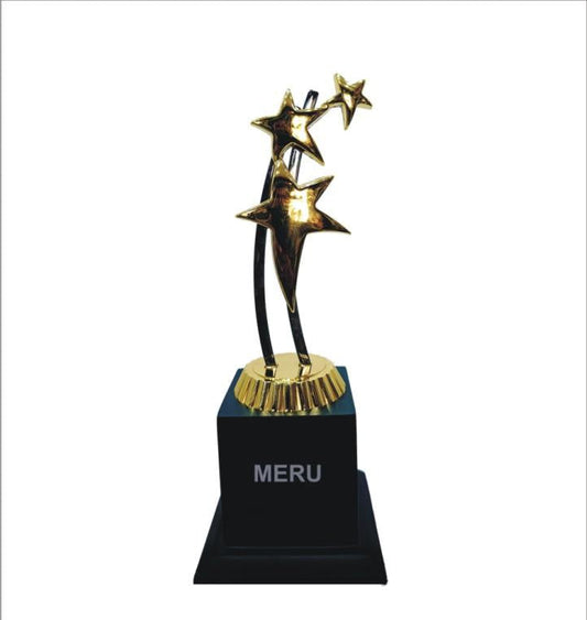 Gold star trophy; ideal for recognition awards and corporate trophy presentations.