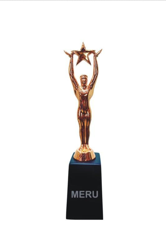 Star Achievement Trophy - Corporate Award 119; perfect for recognition awards.