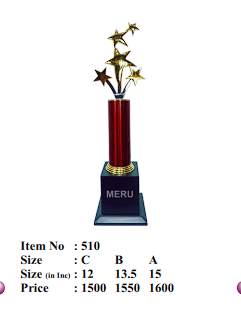 Star Burst Corporate Trophy 510 - Gold Star Recognition Award