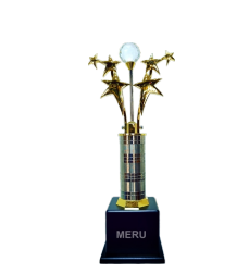 Star Crystal Trophy 508 - Corporate Recognition Award