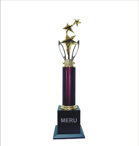 Gold star corporate trophy