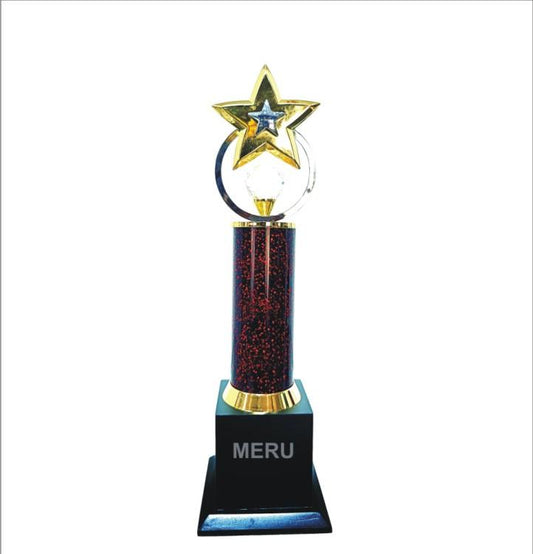 Gold star acrylic trophy
