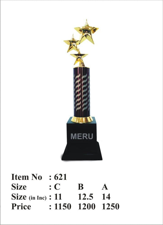 Golden Star Trophy - Corporate Recognition Award