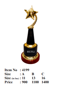 Gold star trophy; ideal for recognition awards and corporate trophies.