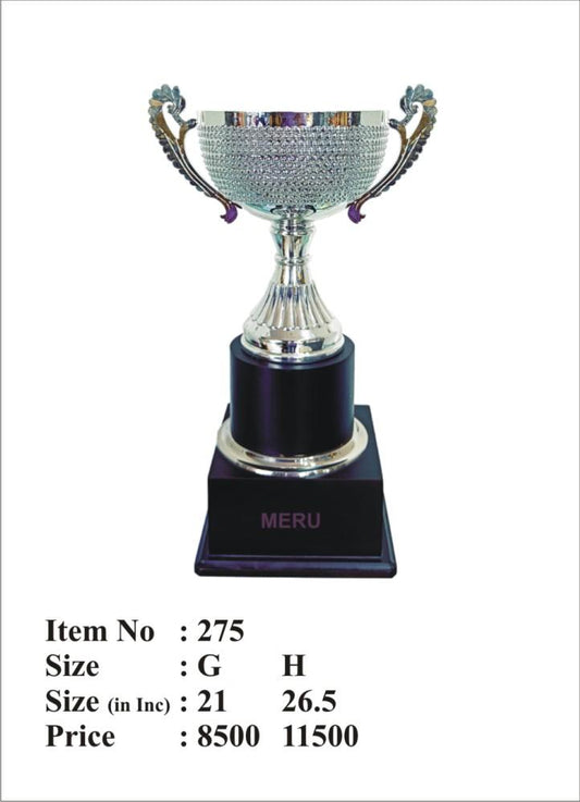 Silver metal trophy showcasing achievement and excellence. Ideal for awards ceremonies.