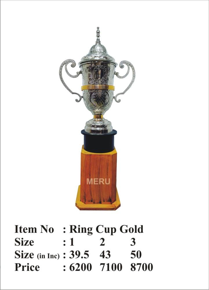 Silver and gold metal trophy with ring detail; perfect for sports awards.