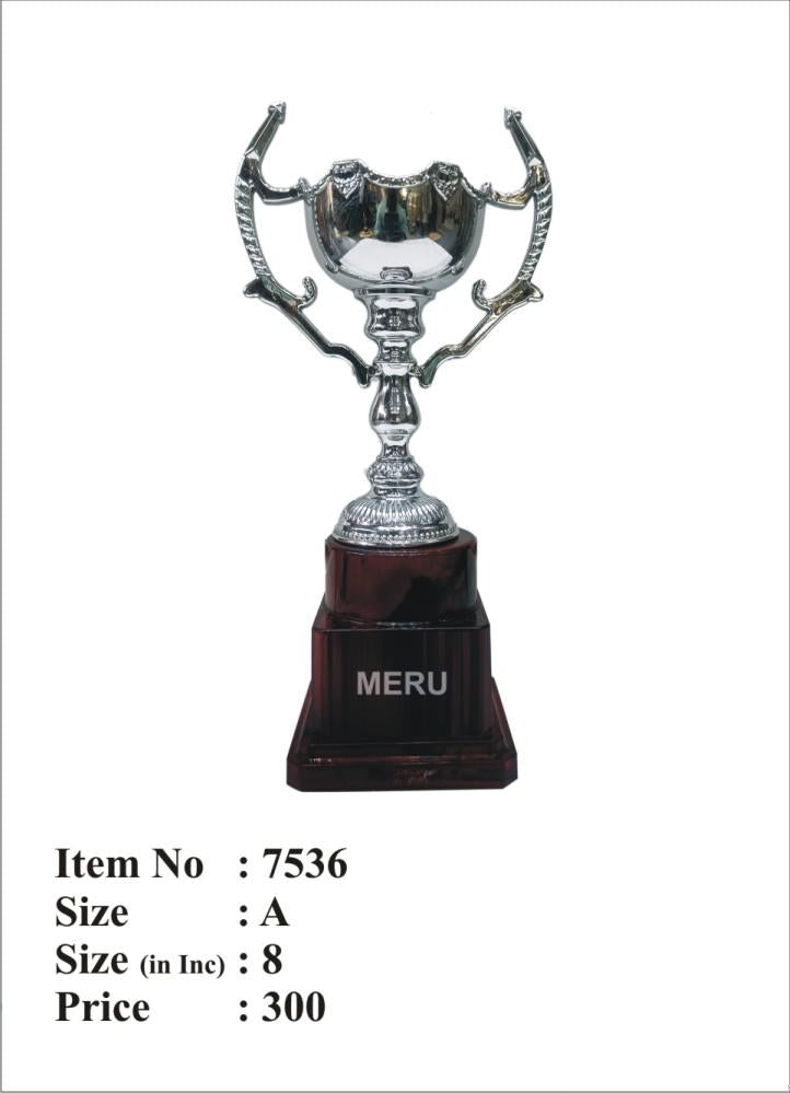 Silver cup trophy; ideal for recognition awards and sporting achievements.