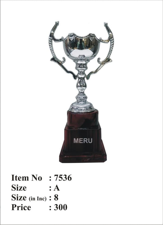 Silver cup trophy; ideal for recognition awards and sporting achievements.