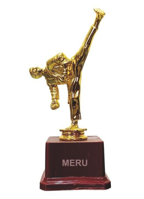 Gold Fiber Trophy Featuring a Dynamic Figure