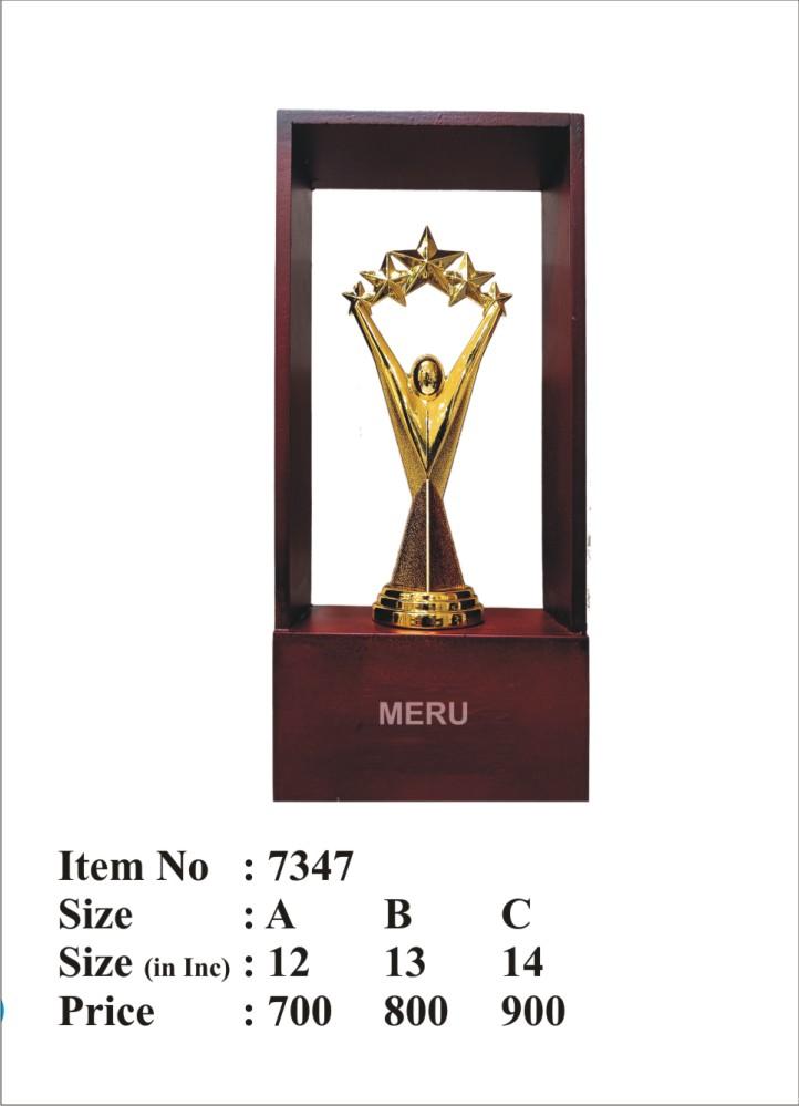 Star Achievement Trophy