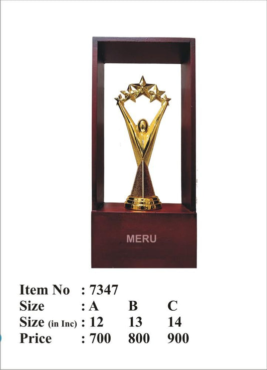Star Achievement Trophy