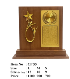 Wooden achievement trophy with golden accents; perfect for employee recognition.