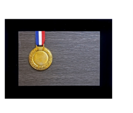 Wooden memento with gold medal and ribbon; perfect for awards and recognition.