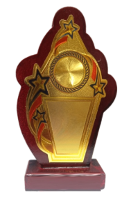 Wooden Memento Award - Gold Star Detail