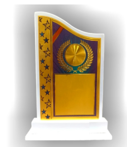 Elegant wooden memento trophy with gold accents; perfect for awards and recognition.