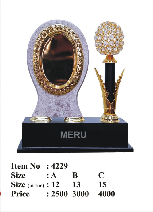 Wooden memento crystal award trophy