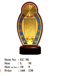 Elegant wooden trophy with gold plate; ideal for employee recognition awards.