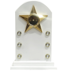 Wooden Star Trophy with Gold Accents - WIM18