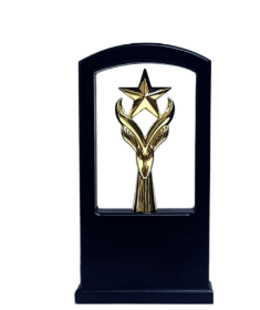 Gold star emblem on black wooden award trophy.