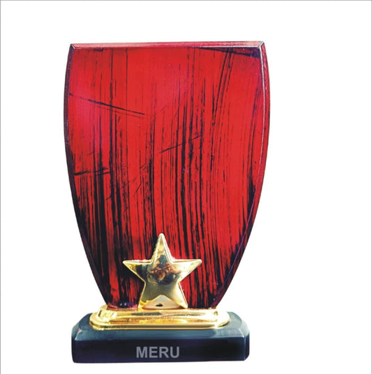 Red Wooden Star Memento - Achievement Award