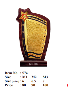 Elegant wooden trophy with a gold star; perfect for employee recognition awards.